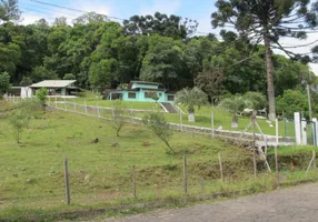 Foto 1 de Fazenda/Sítio com 3 Quartos à venda, 250m² em Maestra, Caxias do Sul