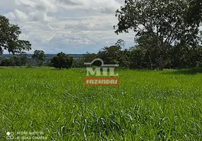 Foto 1 de Fazenda/Sítio à venda, 489m² em Zona Rural, Santa Tereza de Goiás