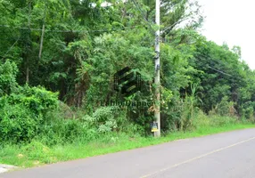 Foto 1 de Lote/Terreno à venda, 2052m² em Travessão, Dois Irmãos