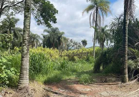 Foto 1 de Lote/Terreno à venda, 20000m² em Roseira, Mairiporã