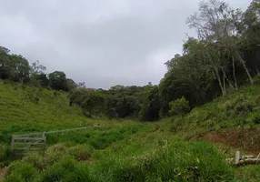 Foto 1 de Fazenda/Sítio com 5 Quartos à venda, 60000m² em Centro, Cunha