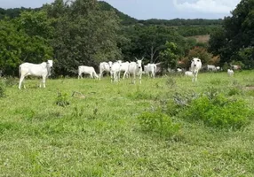 Foto 1 de Fazenda/Sítio à venda em Setor Central, Palestina de Goiás
