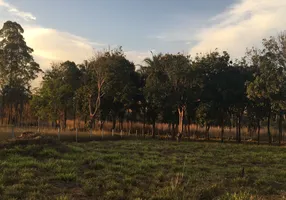 Foto 1 de Fazenda/Sítio à venda em Zona Rural, Hidrolândia