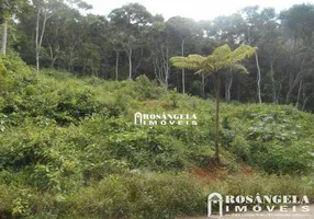 Foto 1 de Lote/Terreno à venda, 7000m² em Iúcas, Teresópolis