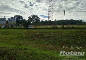 Foto 1 de para alugar, 10000m² em Zona Rural, Uberlândia