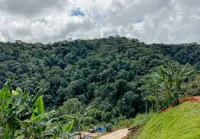 Foto 1 de Lote/Terreno à venda, 4000m² em , Marechal Floriano