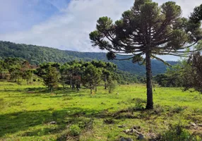 Foto 1 de Fazenda/Sítio à venda, 20000m² em Zona Rural, Urubici