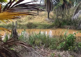 Foto 1 de Lote/Terreno à venda, 1000m² em Doutor Campolina, Jequitibá