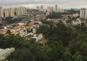 Foto 1 de Apartamento com 3 Quartos para alugar, 70m² em Vila Indiana, São Paulo