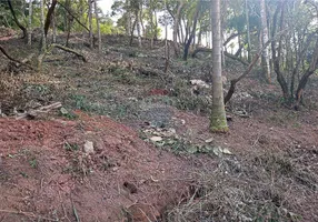 Foto 1 de Lote/Terreno à venda, 3600m² em Chácara Nova Essen, Campo Limpo Paulista