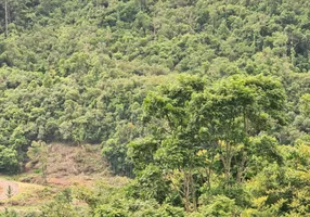 Foto 1 de Fazenda/Sítio à venda, 20000m² em Aguas Frias, Alfredo Wagner