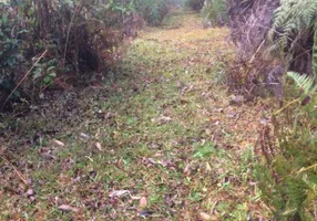 Foto 1 de Fazenda/Sítio à venda, 10000m² em , Botuverá