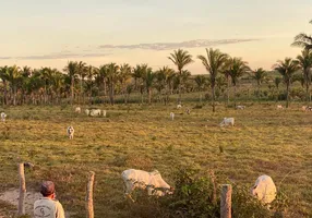 Foto 1 de Fazenda/Sítio à venda, 2000m² em Ponta Negra, Natal