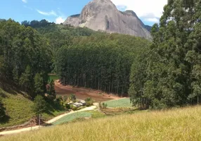 Foto 1 de Lote/Terreno à venda, 30000m² em Centro, Domingos Martins