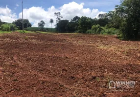 Foto 1 de Fazenda/Sítio à venda, 16000m² em , Ourizona