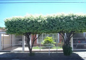 Foto 1 de Imóvel Comercial com 6 Quartos para venda ou aluguel, 236m² em Vila Maria, São José do Rio Preto