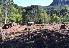 Foto 1 de Fazenda/Sítio à venda, 70000m² em , Canela