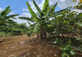 Foto 1 de Fazenda/Sítio com 2 Quartos à venda, 20000m² em Setor Residencial Oeste, Brasília