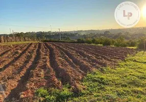 Foto 1 de Fazenda/Sítio com 3 Quartos à venda, 26455m² em Reforma Agraria, Valinhos