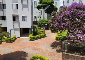 Foto 1 de Apartamento com 3 Quartos à venda, 70m² em Antares, Londrina
