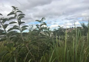 Foto 1 de Lote/Terreno à venda, 1800m² em Buritis, Belo Horizonte