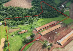 Foto 1 de Fazenda/Sítio à venda, 42000m² em Zona Rural, Cascavel
