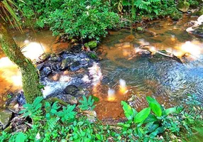 Foto 1 de Lote/Terreno à venda, 10000m² em Rio Sagrado, Morretes