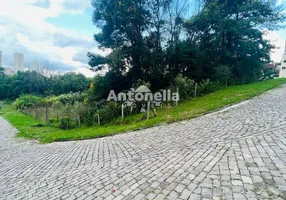 Foto 1 de Lote/Terreno à venda, 255m² em Panazzolo, Caxias do Sul