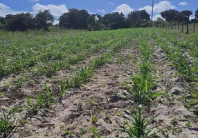 Foto 1 de Fazenda/Sítio com 3 Quartos à venda, 27800m² em Trairas, Macaíba