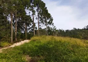 Foto 1 de Fazenda/Sítio à venda, 20050m² em Bateias, Campo Largo