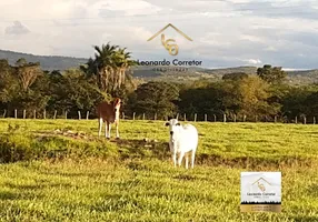 Foto 1 de Fazenda/Sítio à venda, 40000m² em Centro, Gravatá