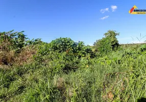 Foto 1 de Lote/Terreno à venda, 290m² em Primavera, Divinópolis