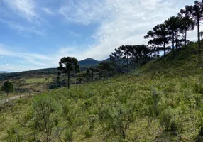 Foto 1 de Fazenda/Sítio à venda, 78000m² em Zona Rural, Urubici