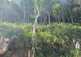 Foto 1 de Lote/Terreno à venda, 2527m² em Itaipava, Petrópolis