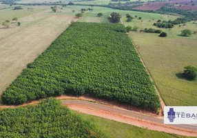 Foto 1 de Fazenda/Sítio à venda, 84700m² em Zona Rural, Palestina