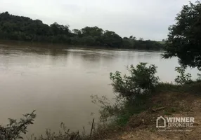 Foto 1 de Fazenda/Sítio com 2 Quartos à venda, 4000m² em Ubauna, São João do Ivaí