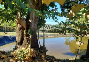 Foto 1 de Fazenda/Sítio com 1 Quarto à venda, 56000m² em Linha Leopoldina, Bento Gonçalves