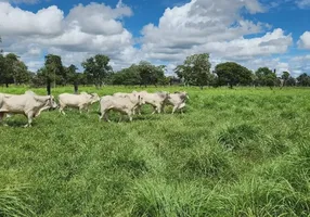 Foto 1 de Fazenda/Sítio à venda, 1567m² em Centro, Novo Santo Antônio