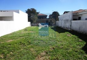 São Carlos Clube - Festival de Futebol menor no campo do Bosque