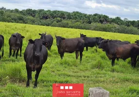 Foto 1 de Fazenda/Sítio à venda, 3538m² em Jardim Paulista, Araguaína