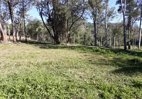 Foto 1 de Lote/Terreno à venda, 20000m² em São Simão, Criciúma