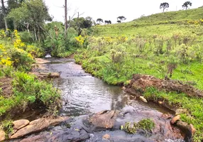 Foto 1 de Fazenda/Sítio à venda, 150000m² em Centro, São Joaquim