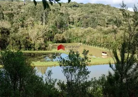 Foto 1 de Fazenda/Sítio com 2 Quartos à venda, 44967m² em Colônia Malhada, São José dos Pinhais