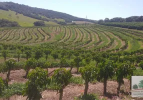 Foto 1 de Fazenda/Sítio com 10 Quartos à venda, 2000m² em Zona Rural, Ritápolis