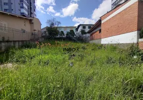 Foto 1 de Lote/Terreno à venda, 392m² em Humaitá, Bento Gonçalves