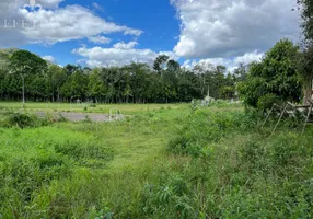 Foto 1 de Galpão/Depósito/Armazém à venda, 14359m² em Salto do Norte, Blumenau