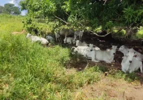 Foto 1 de Fazenda/Sítio à venda, 5500000m² em Zona Rural, Bonito de Minas