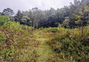 Foto 1 de Lote/Terreno à venda, 21800m² em Zona Rural, Marmelópolis