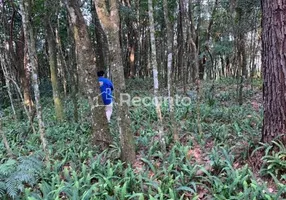 Foto 1 de Fazenda/Sítio à venda, 196000m² em Linha Quilombo, Gramado