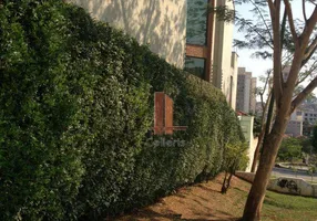 Foto 1 de Sobrado com 3 Quartos à venda, 240m² em Jardim Piqueroby, São Paulo